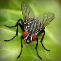 /album/wash-self-service/photolia-a01-jpg/