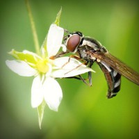 /album/wash-self-service/photolia-a02-jpg/