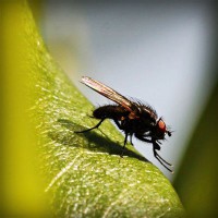 /album/wash-self-service/photolia-a04-jpg/