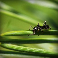 /album/wash-self-service/photolia-a05-jpg/