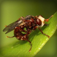 /album/wash-self-service/photolia-a06-jpg/