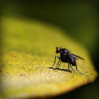 /album/wash-self-service/photolia-a07-jpg/