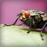 /album/wash-self-service/photolia-a08-jpg/